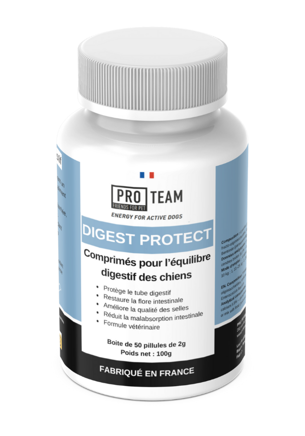 PRO TEAM DIGEST PROTECT – Soutien digestif pour chiens - Digestive support for dogs