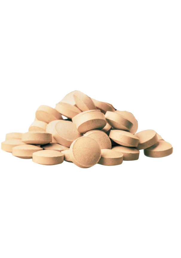 PRO TEAM DIGEST PROTECT – Soutien digestif pour chiens-Digestive support for dogs