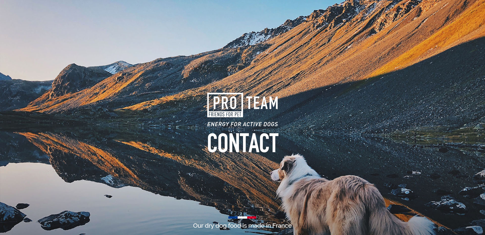 bg_contact_mobile