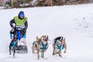 Coste RaceDOG - Aurelie Delattre et Rémy Coste