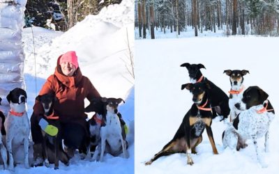 Paws In The Pow