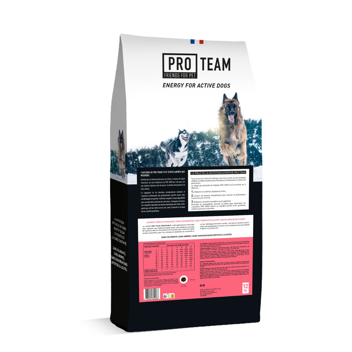 croquette pour chiots chien junior sportif proteam