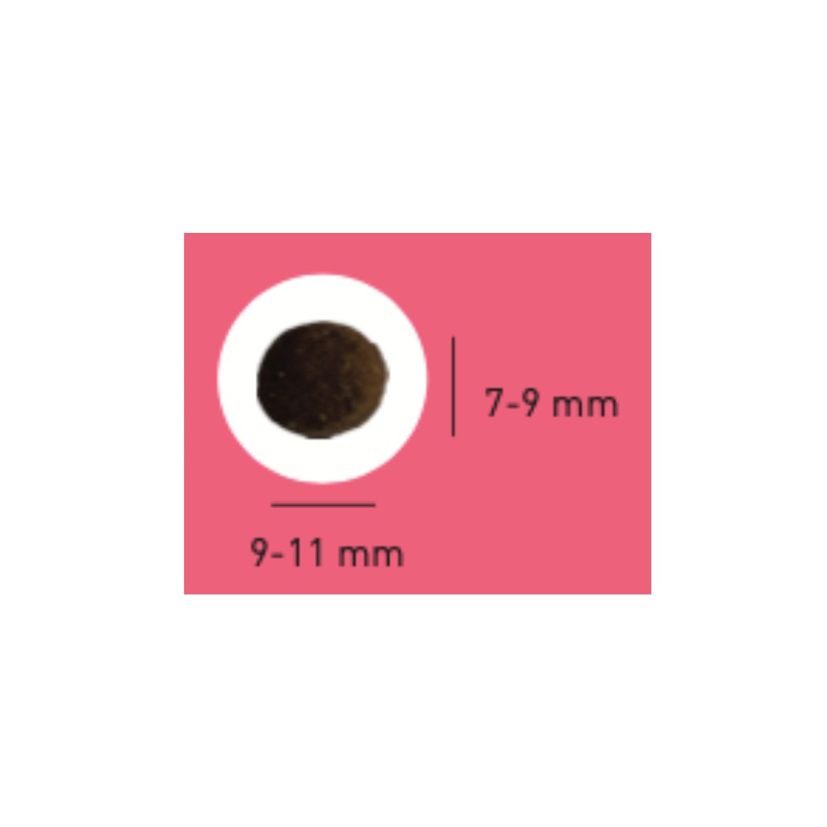 croquette pour chiots chien junior sportif proteam