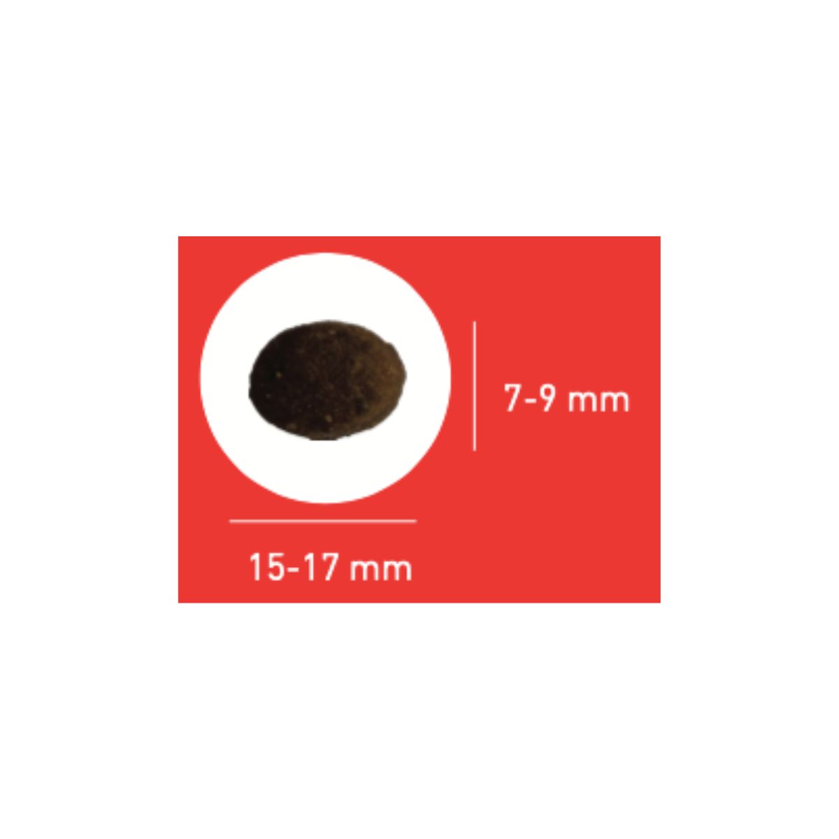 croquette pour chien sportif proteam endurance 4400