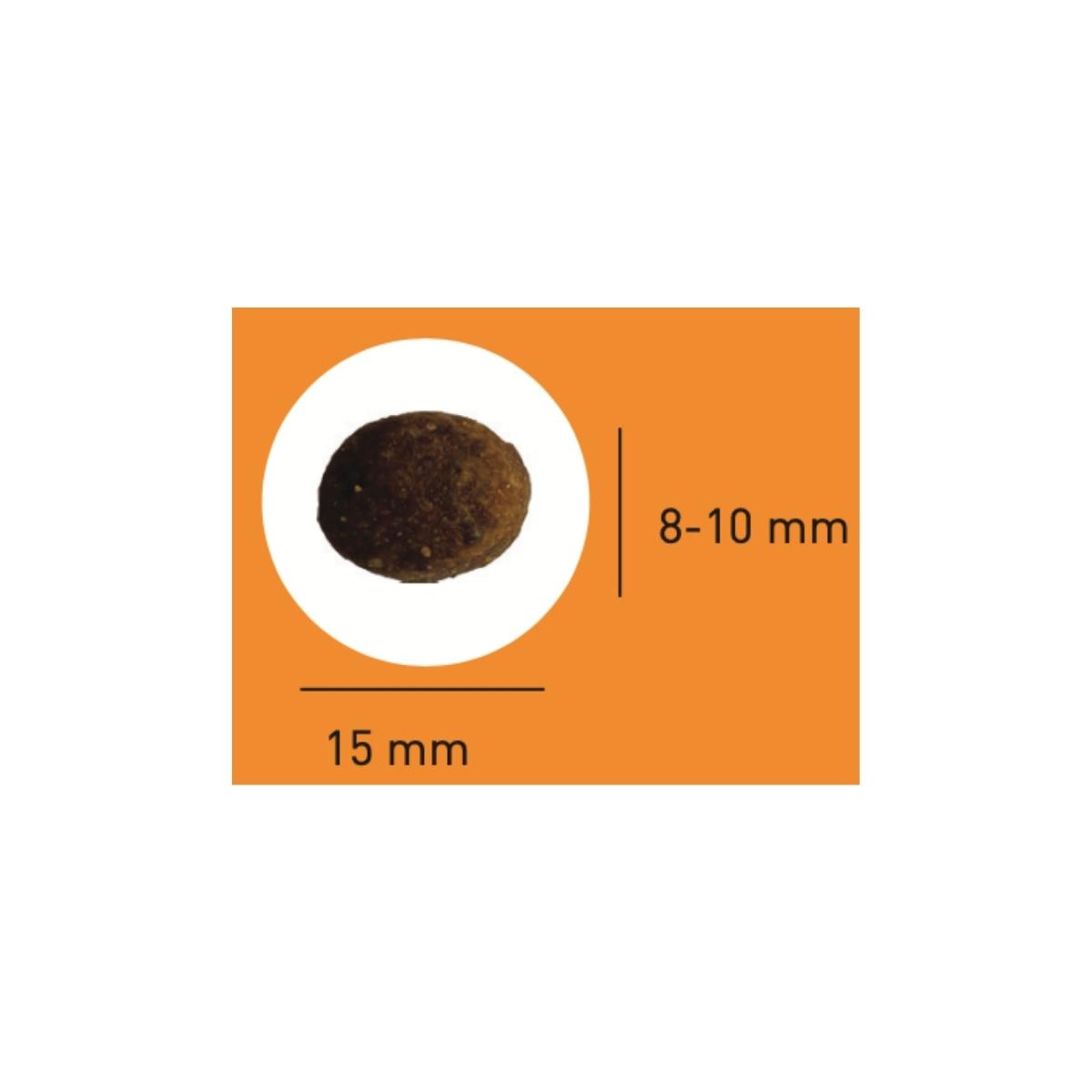 croquette pour chien sportif proteam essentiel 3800