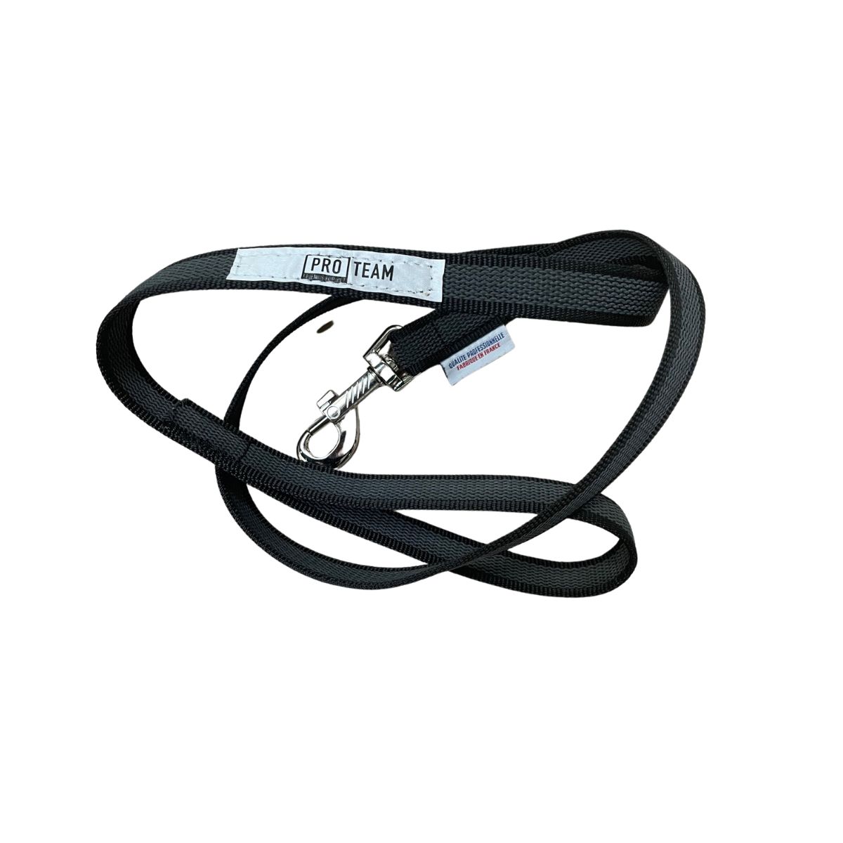 laisse pour chien sportif pro team