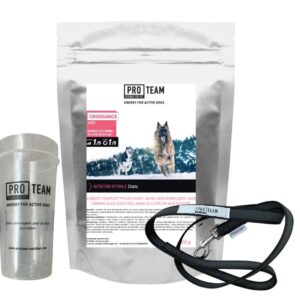 kit pour chiot sportif proteam