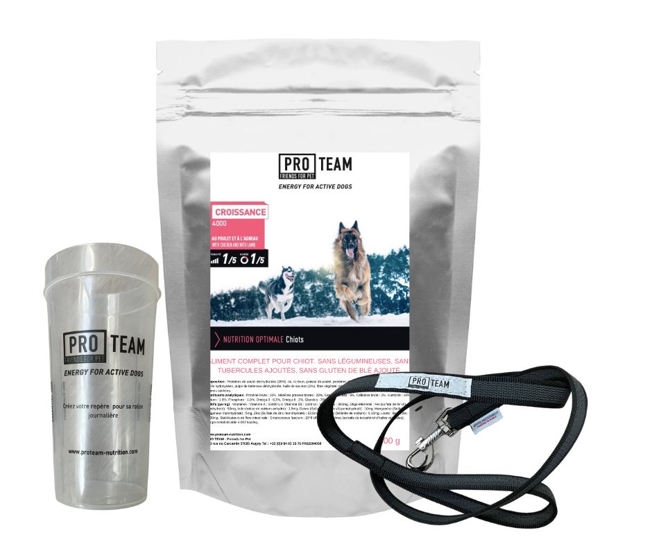 kit pour chiot sportif proteam