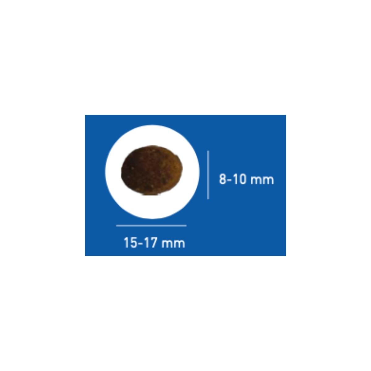 croquette pour chien sportif proteam puissance 4000