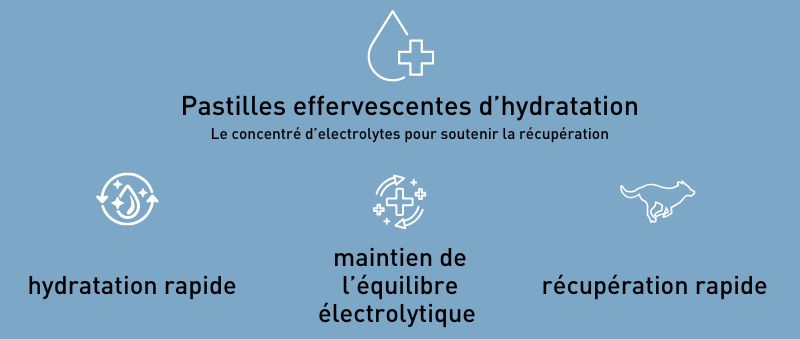 PRO TEAM HYDRA SPORT pastilles effervescente de ré hydratation