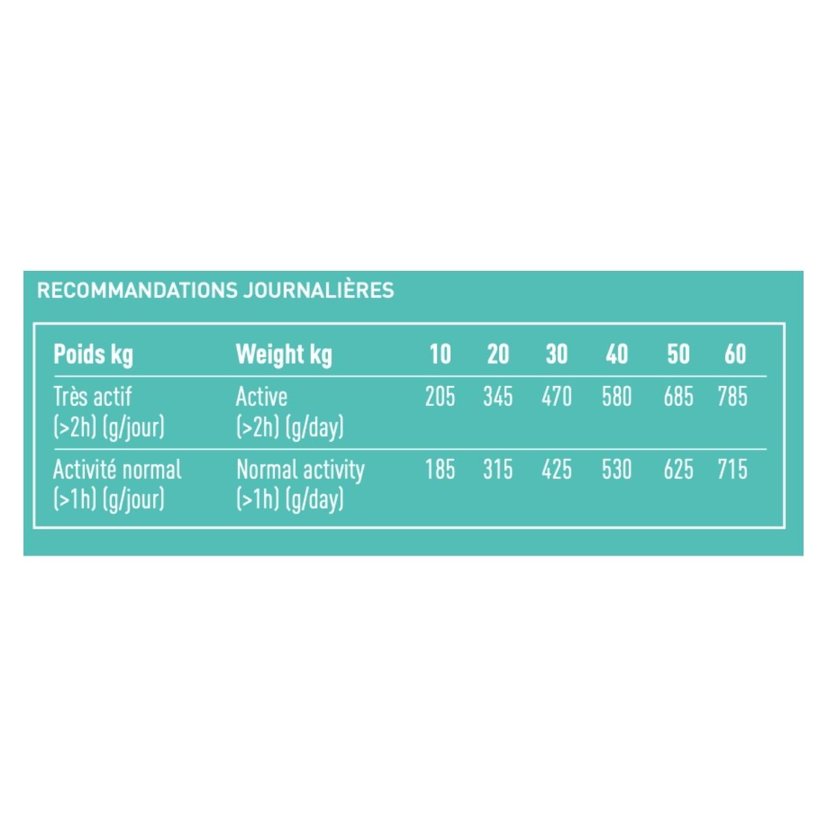 PRO TEAM SENSIBLE 3900 – Image 3