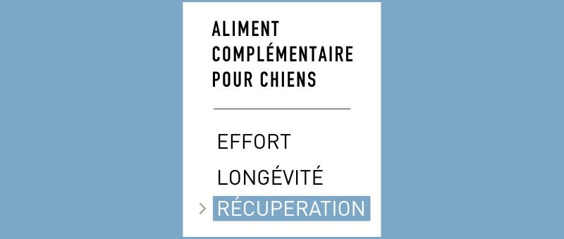 Aliment complémentaire PRO TEAM - récupération