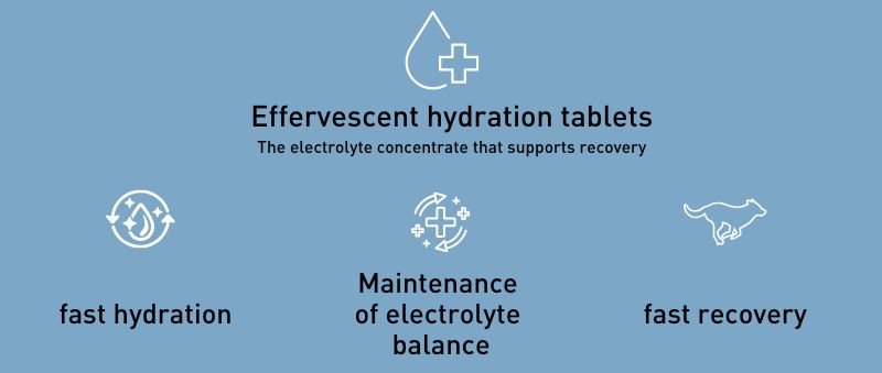 PRO TEAM HYDRA SPORT Effervescent hydration tablets for sport dogs