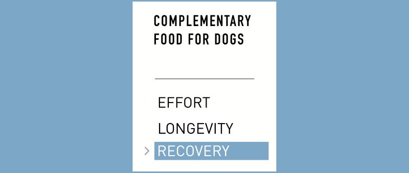 PRO TEAM HYDRA SPORT Effervescent hydration tablets for sport dogs