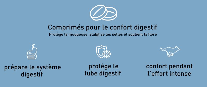 PRO TEAM DIGEST PROTECT – Soutien digestif pour chiens