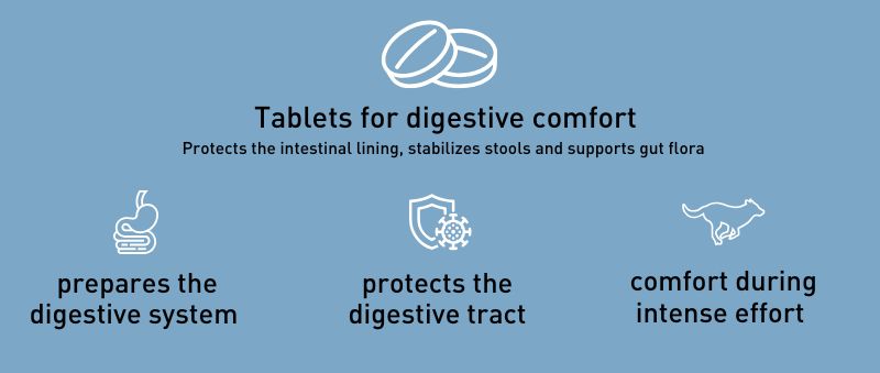 digestive supplement for dogs - PRO TEAM DIGEST PROTECT