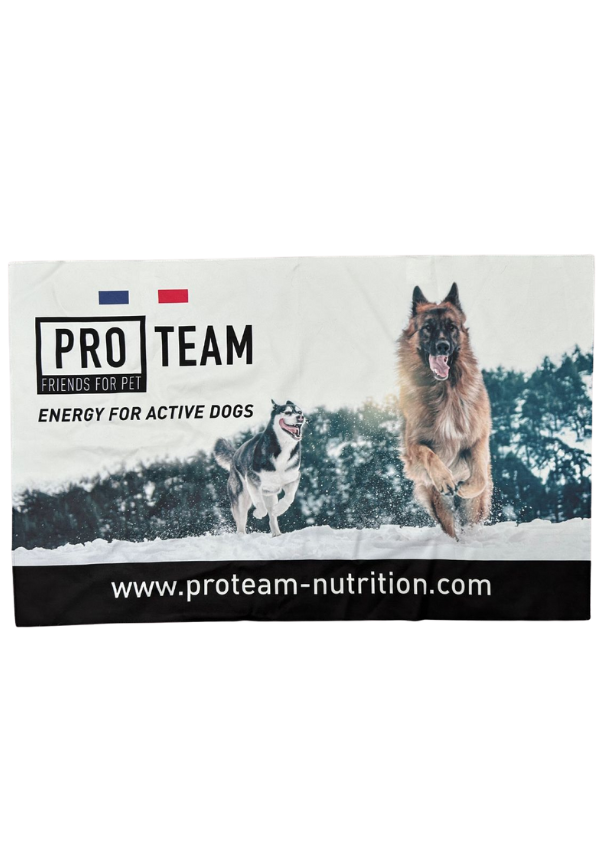 PRO_TEAM_SERVIETTE Microfiber towel PRO TEAM