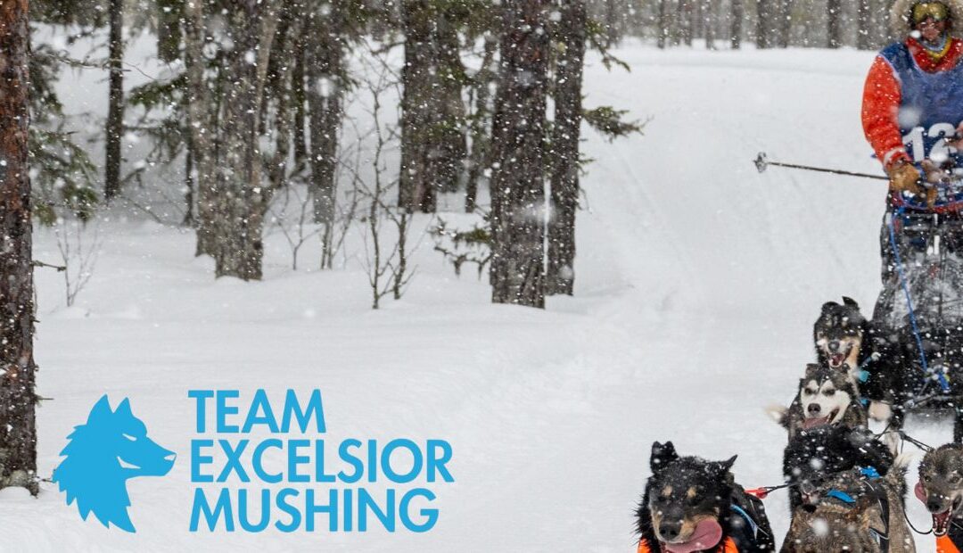 Resuming Training After the Summer Break