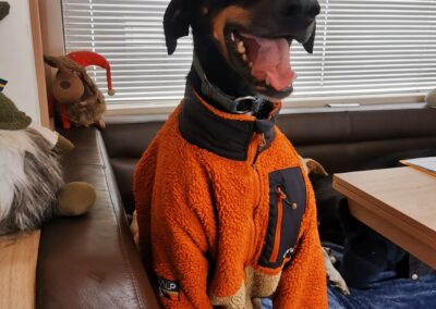 Le look grand froid version chien de traîneau