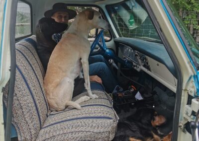 Rémy dans le pick-up avec ses chiens