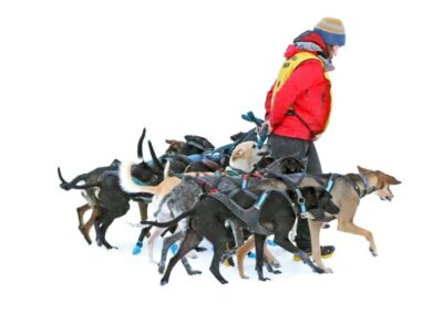 Entrînement du chien sportif - Aurélie Coste