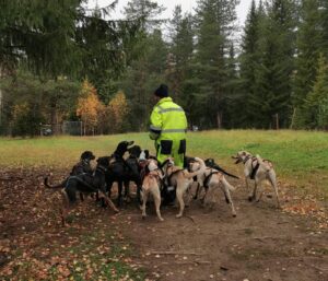 Reprendre l'entraînement avec son chien sportif : construire une préparation progressive et adaptée 4 Entrainement Coste Racedog 4