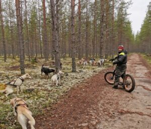 Reprendre l'entraînement avec son chien sportif : construire une préparation progressive et adaptée 7 Entrainement Coste Racedog 8