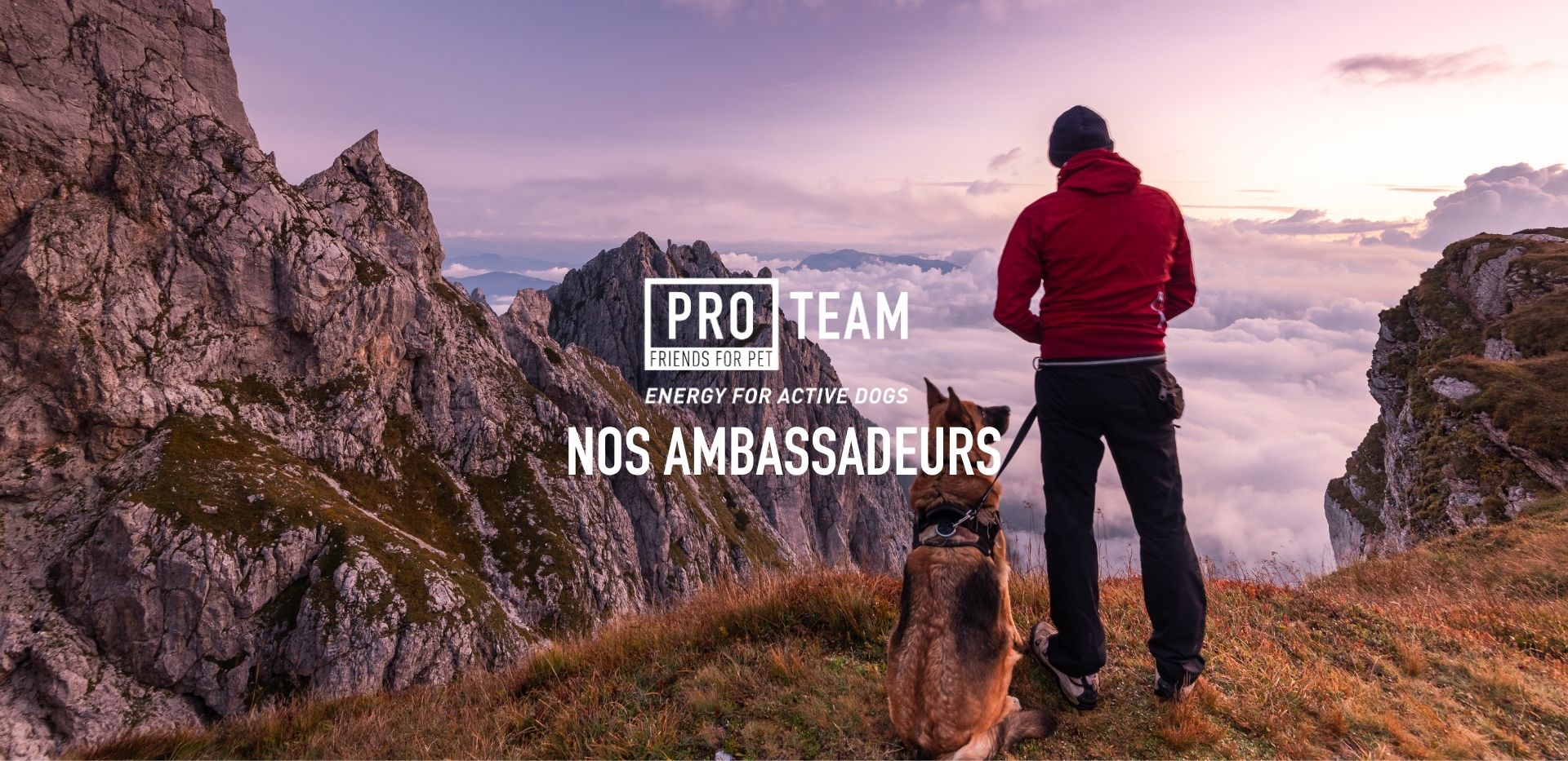Nos ambassadeurs