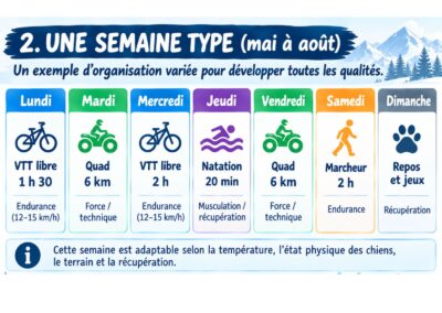 SEMAINE TYPE