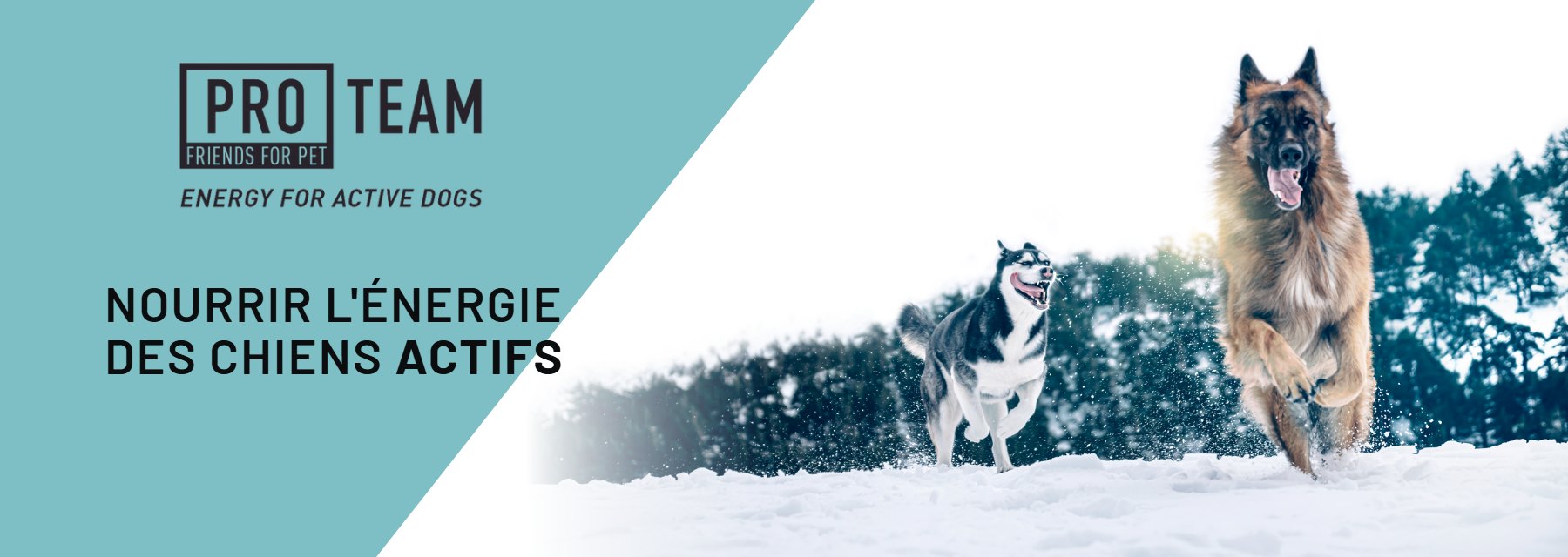 PRO TEAM, nourrir l’énergie des chiens actifs.